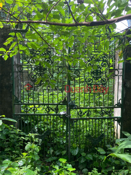 OWNER NEEDS TO QUICKLY SELL 02 LOT OF LAND ON DINH TIEN HOANG STREET, Hong Van, Thuong Tin, Hanoi | Vietnam, Sales | đ 40 Million