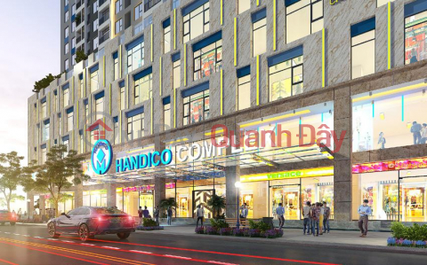 Fund of 30 diplomatic apartments for Handico Complex project 33 Le Van Luong _0