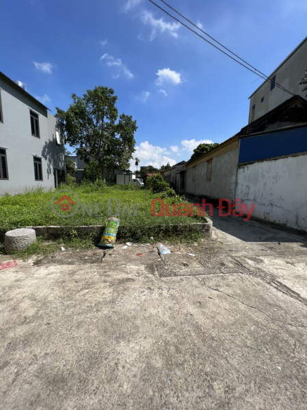 Property Search Vietnam | OneDay | Residential, Sales Listings, Hang Chat 313m, almost FULL land divided into lots without losing alleys, only a few million\\/m ️If I have money, I will buy only the poor one