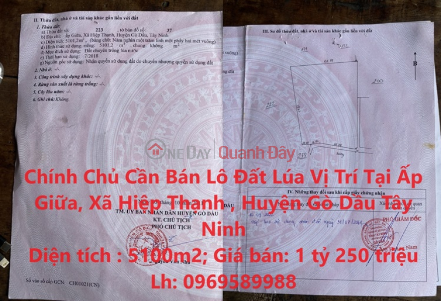 Owner Needs to Sell Rice Land Lot, Location in Go Dau District, Tay Ninh Province Sales Listings