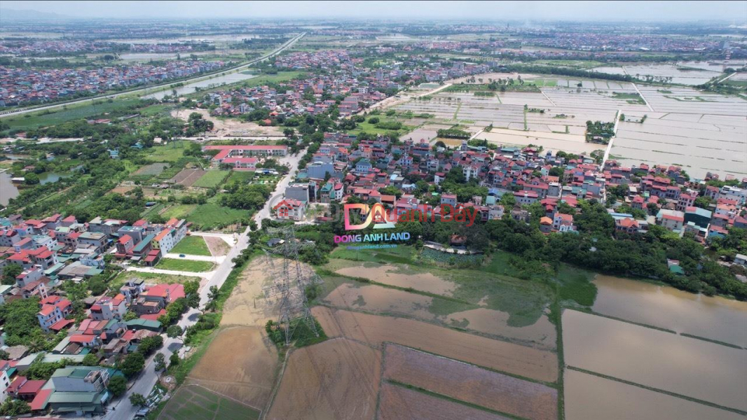 Selling land at auction in Dinh Trang, Duc Tu, Dong Anh for over 2 BILLION Sales Listings