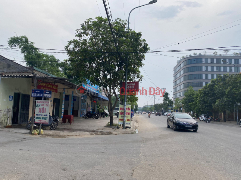 Property Search Vietnam | OneDay | Residential | Rental Listings | GENERAL Leasing Land - Nice Location In Ha Huy Tap Ward, Vinh City, Nghe An
