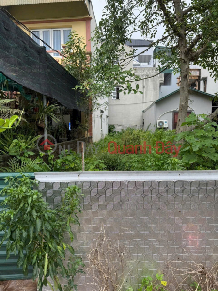 ĐẤT ĐẸP - GIÁ TỐT - Cần Bán Nhanh Lô Đất Vị Trí Đắc Địa Tại Quỳnh Đô, Vĩnh Quỳnh, Thanh Trì, Hà Nội Niêm yết bán