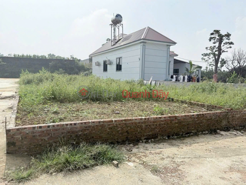 For just around 2 billion VND - Own a plot of land in the center of Dong Ha village, Phu Cat - with full amenities. Sales Listings