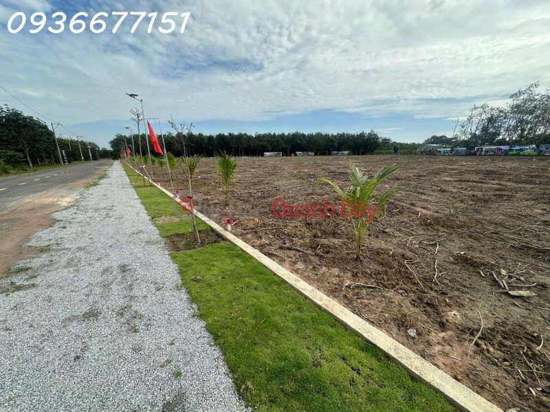OWNER SELLING LAND PLOT AT A GOOD PRICE IN PHU GIAO – NEAR HO CHI MINH CITY Sales Listings