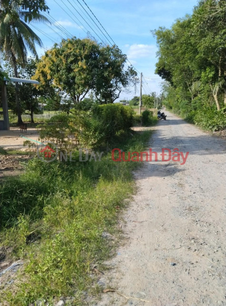 ₫ 400 Million | PRIMARY LAND - Quick Sale 3 Adjacent Lots In Sa Nghe An Co Commune, Chau Thanh District - Tay Ninh
