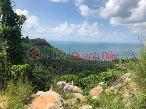 PRIME LAND - GOOD PRICE - Need to Sell Quickly in Lai Son Commune, Kien Hai, Kien Giang _0