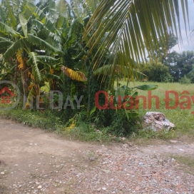 Owner Sells Land Lot, Nice Location At Box 6, Thanh Binh B Quarter, Go Dau Town, Go Dau District, Tay Ninh _0