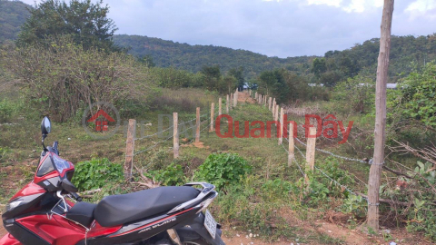 ĐẤT ĐẸP - GIÁ TỐT - Chính Chủ Cần Bán 5,8 sào Đất Tại Xã Thuận Hòa, Hàm Thuận Bắc, Bình Thuận _0