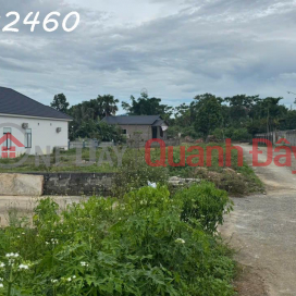 TRANSFER OF LAND PLOT OF 227M2 IN TU PHU COMMUNE, THANH THUY DISTRICT, PHU THO PROVINCE _0