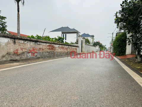 Beautiful land - Beautiful location at Bai Say 2, Tan Dan, Khoai Chau, Hung Yen _0