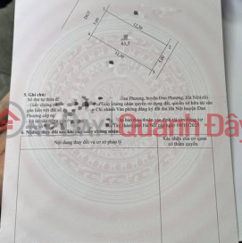 61.5M SUPERB REED FIELD - DAN PHUONG - A RARE AND HARD-TO-FIND ITEM _0