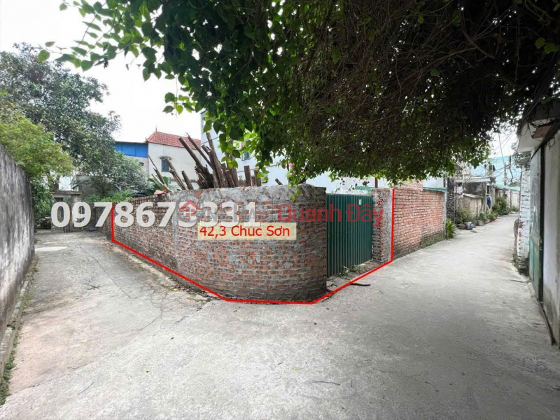 RARE LAND FOR SALE IN CHUC SON CENTER - CHUONG MY Sales Listings