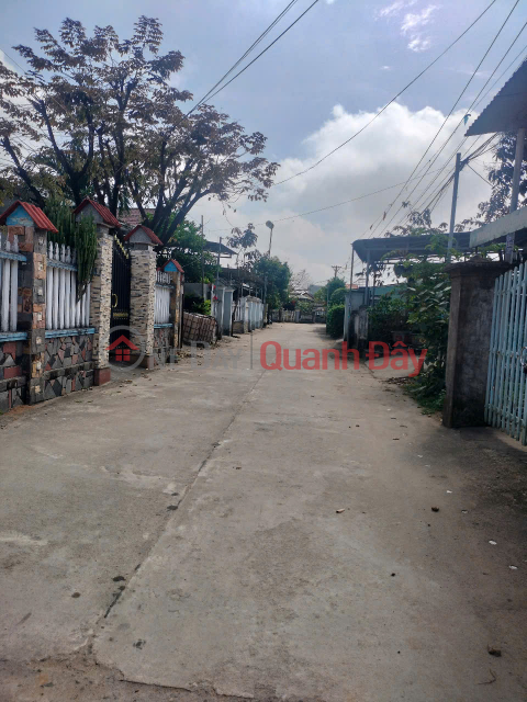 OWNER'S LAND - GOOD PRICE - OWNER NEEDS TO SELL Land Lot at Phu Hai 2, Dai Hiep, Dai Loc District, Quang Nam _0