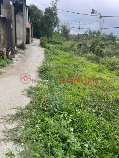 Land for sale with street frontage in Thuy Phuong. Sales Listings