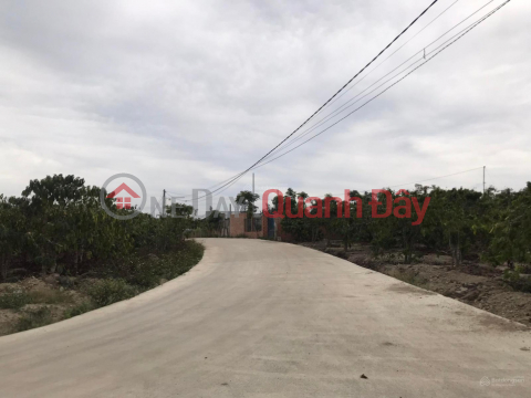 Land for sale 1.3 hectares in Ninh Gia, Duc Trong, Lam Dong, price 14.8 billion 6m concrete road _0