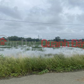 Land for sale in Duong Cong Khi, Xuan Thoi Son Commune, HOC MON, 7908m2, 8m asphalt road, price only 47 billion _0
