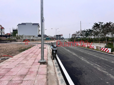 CHÍNH CHỦ BÁN NHANH 2 LÔ ĐẤT ĐẤU GIÁ LIỀN KỀ– NGAY CẠNH VINMEC OCEAN PARK 2 – Nghĩa Trụ, Văn Giang _0