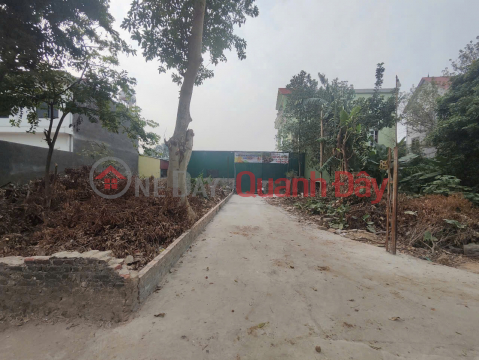 Cơ Hội Đầu Tư Cực Hiếm - Lô Góc 2 Mặt Tiền Gần Vành Đai 4 - Kim Hoa, Mê Linh _0