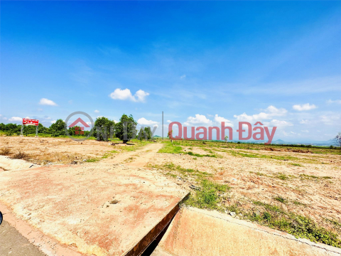 Owner needs 2 garden plots (CLN) with 3 fronts near 719B-Novaworld Phan Thiet street _0