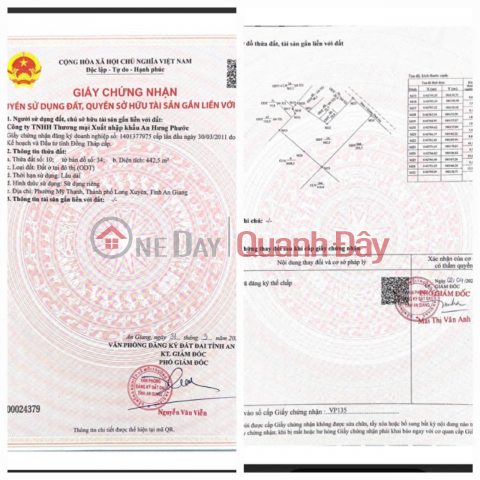 Ngân hàng BIDV thanh lý tài sản Nhà máy betong Delta An Giang _0