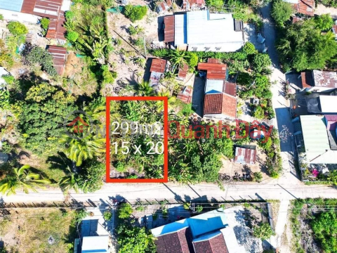 LAND FOR SALE IN FUNG TREE VILLAGE - DIEN TAN COMMUNE - DIEN KHANH DISTRICT. _0