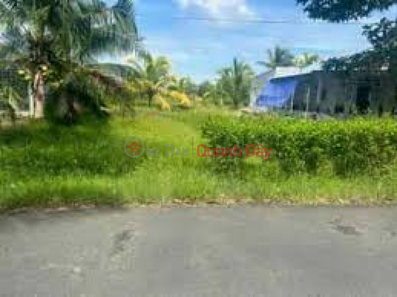 Property Search Vietnam | OneDay | Sales Listings The owner urgently sells a 100% agricultural plot of land at Duong Ky Hiep Street, Ward 2, Soc Trang City, Soc Trang Province