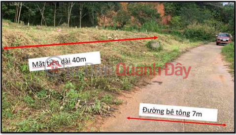 BEAUTIFUL LAND - GOOD PRICE - OWNER Land Lot for Sale in Doan Ket Commune, Da Huoai District, Lam Dong Province _0