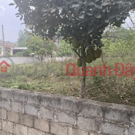 Land for sale in Cao Duong commune, Luong Son district, Hoa Binh _0