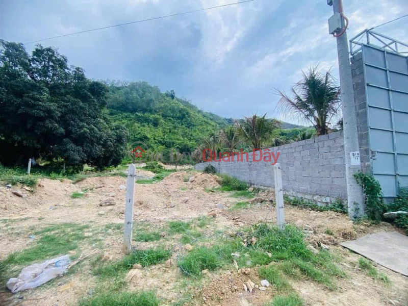 RESIDENTIAL LAND FOR SALE, FRONTAGE ON PROVINCIAL ROAD 3, CAM LAM - SUITABLE FOR WAREHOUSE CONSTRUCTION - SELLING PRICE 2.950 BILLION!, Vietnam Sales, đ 2.95 Billion