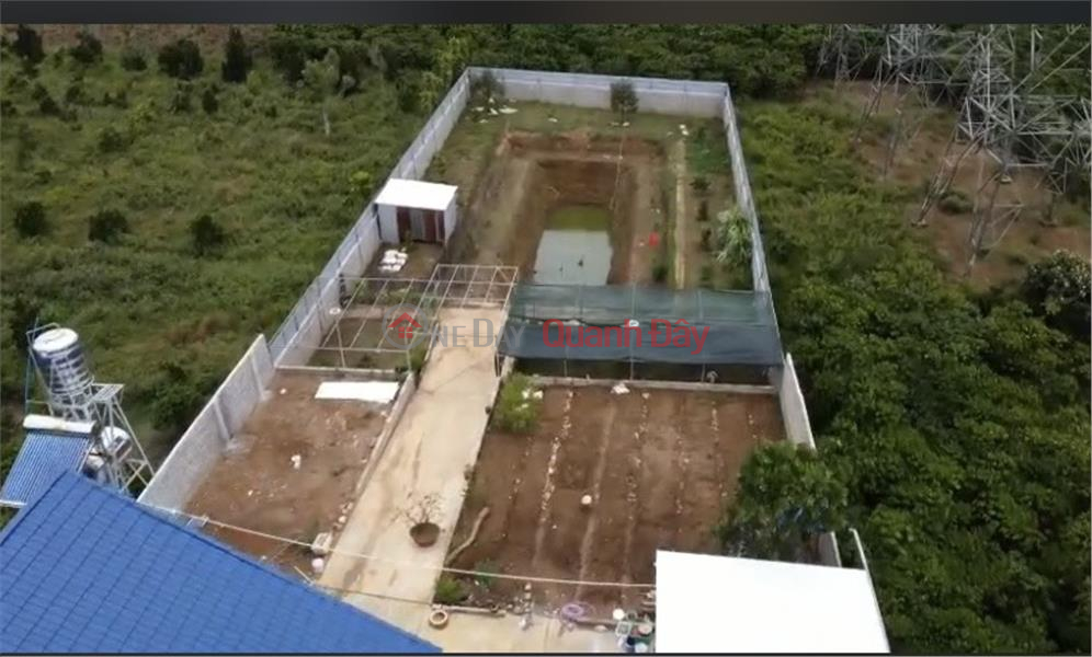 Property Search Vietnam | OneDay | Residential, Sales Listings | BEAUTIFUL LAND - GOOD PRICE - Land Lot For Sale Prime Location In Loc Chau Commune, Bao Loc City, Lam Dong