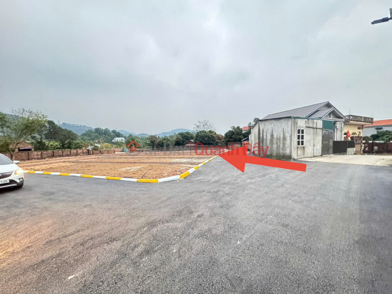 Owner urgently selling a plot of land in Phu Thinh - Minh Phu - Soc Son - 100m2 - Paved road, accessible by car. Vietnam Sales | đ 2.05 Billion
