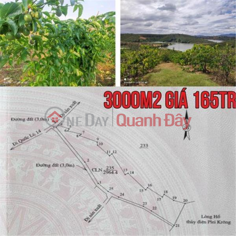 Cut a deep hole in a plot of land for planting perennial crops of nearly 3000m2 with stream view in Dak Ha, Kon Tum _0