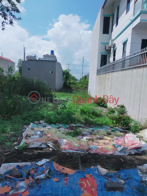 EXTREMELY SHOCKING PRICE! LAND LOT FOR QUICK SALE Prime Location In Me town, Gia Vien district - Ninh Binh province _0