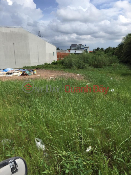 Property Search Vietnam | OneDay | Residential Sales Listings, BEAUTIFUL LAND - GOOD PRICE - Quick Sale Land Lot Front Highway QL57B - Chau Thanh - Ben Tre