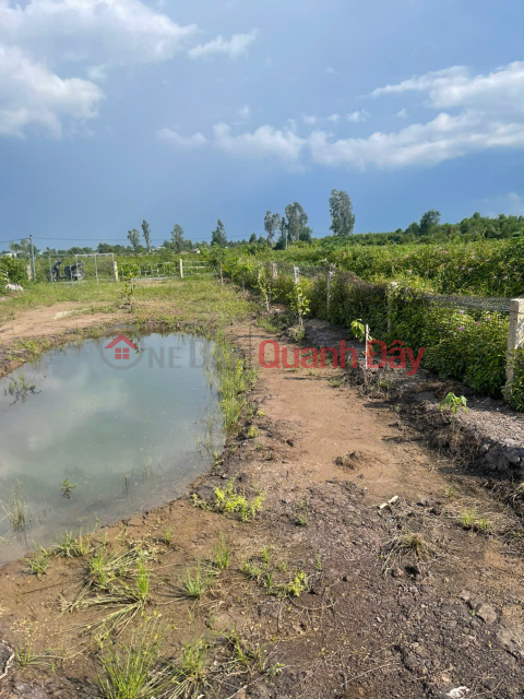 Bán 500m2 Đất Vườn Tại Đường ĐT816, Xã Bình Đức, Huyện Bến Lức, Long An _0
