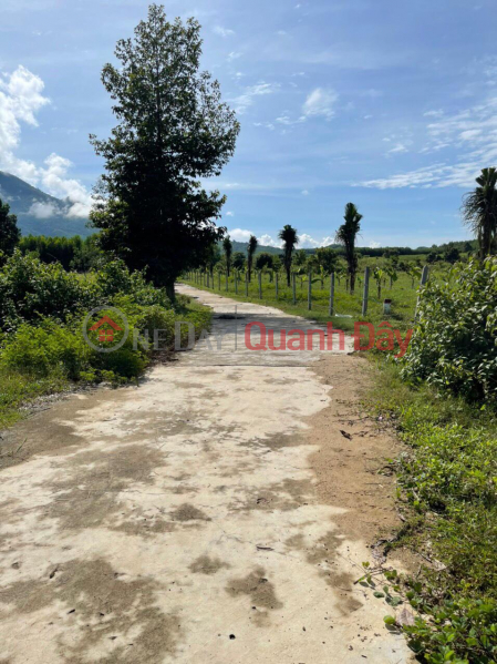 Property Search Vietnam | OneDay | Residential, Sales Listings, Plot For Sale Urgently In Khanh Dong Commune-Khanh Hoa