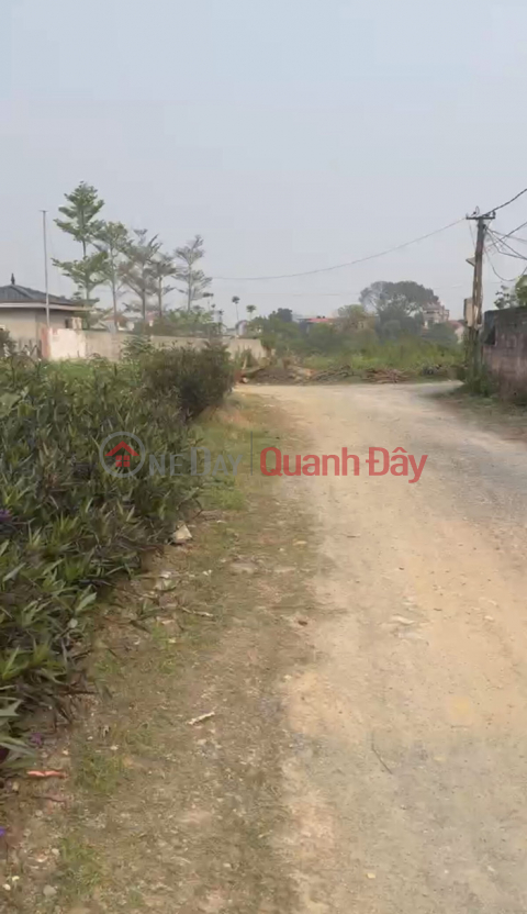 CHÍNH CHỦ CẦN BÁN LÔ ĐẤT 1174M TẠI THỦY XUÂN TIÊN-CHUONWG MỸ-HÀ NỘI _0