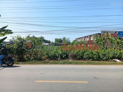 Bán Đất tại Quốc lộ 54, xã Lai Vung (xãTân Thành, Huyện Lai Vung) giá tốt chỉ với 4,1 tỷ _0