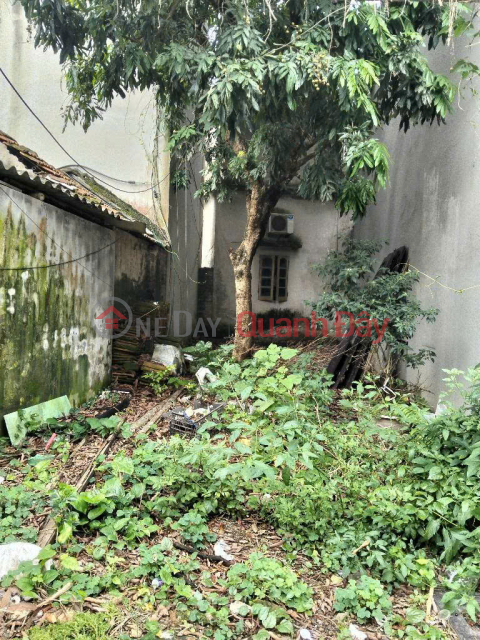 . BEAUTIFUL LAND PLOT AT A REASONABLE PRICE - IN THE DEVELOPING DAI ANG AREA. _0