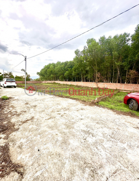 Property Search Vietnam | OneDay | Sales Listings Land for sale in Hoa Phong Hoa Vang commune, parallel to National Highway 14B