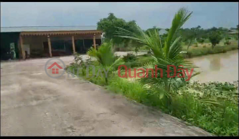 Selling a garden farm of more than 7000m2 right in Hanoi, a few kilometers from Tay Nam Linh Dam urban area. _0