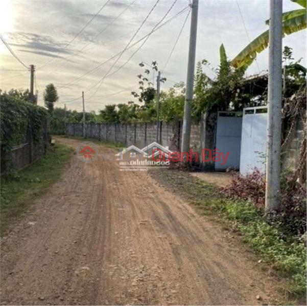 Property Search Vietnam | OneDay | Residential Sales Listings Land by Owner - Good Price in Suoi Nho, Dinh Quan District, Dong Nai Province