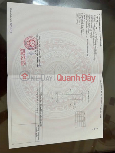 FOR SALE Land in the Northeast auction area of Road No. 4, Phuoc An Town, Krong Pac, Dak Lak Sales Listings