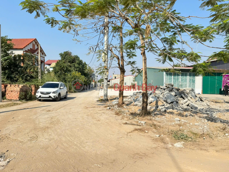 Selling 100m2 of land in group 9, Quang Minh town, Me Linh. Corner lot, 2 frontages, asphalt road, sidewalk Vietnam | Sales, đ 10 Billion