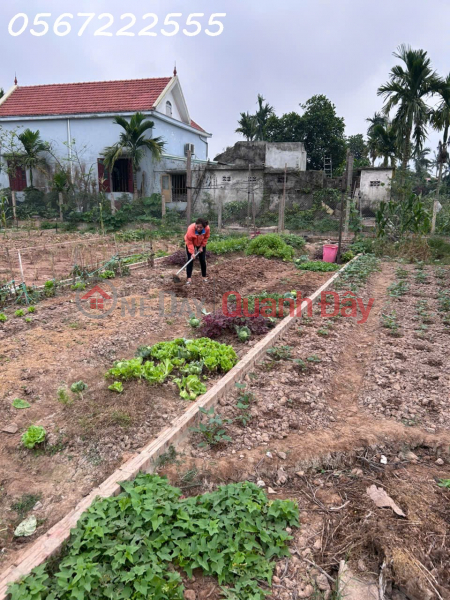  | Làm ơn chọn, Nhà ở Niêm yết bán, đ 1,98 tỷ