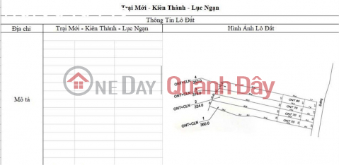 OPPORTUNITY TO OWN LAND IN CHU TOWN - BAC GIANG FROM ONLY 400-660 MILLION VND! _0