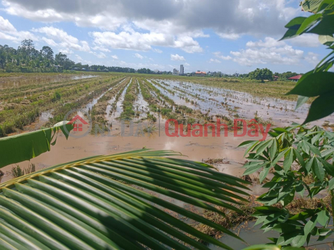 CHÍNH CHỦ CẦN BÁN LÔ ĐẤT Vị Trí Tại Phường 1 - TP Bạc Liêu - Bạc Liêu - Giá Cực Rẻ _0