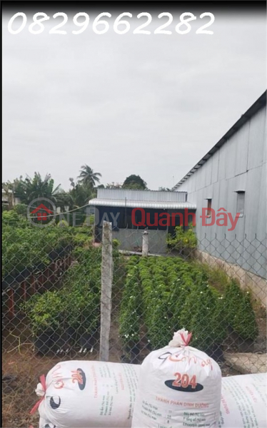  Làm ơn chọn | Nhà ở Niêm yết bán đ 600 triệu