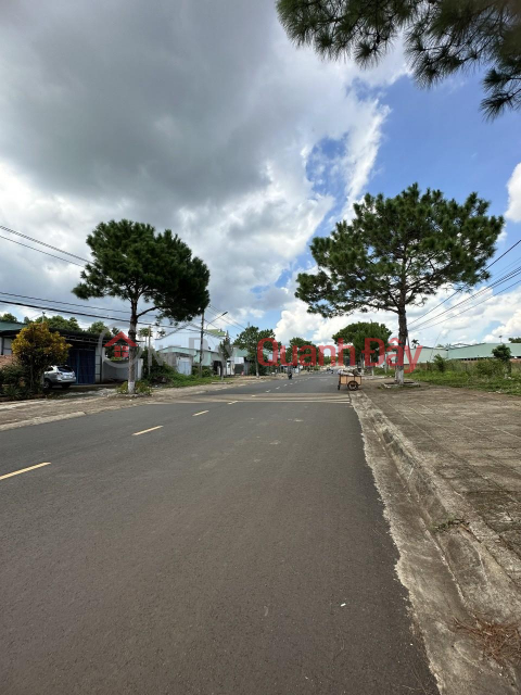 HOT!!! OWNER NEED TO SELL QUICKLY Beautiful Land Lot Location In Gia Lai _0